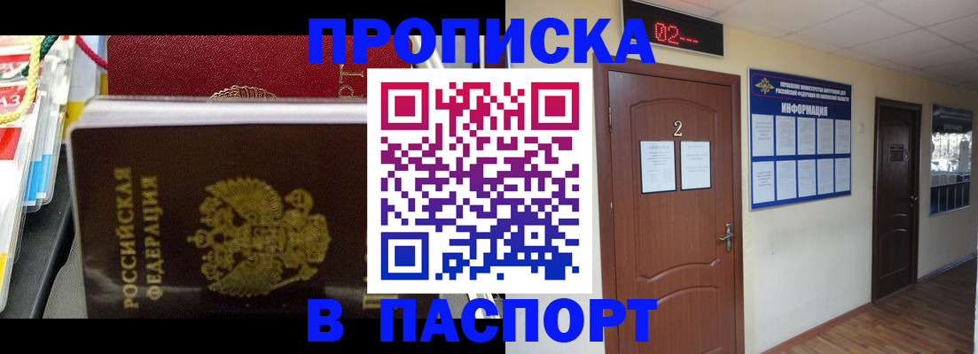 прописка гарантия в Порхове